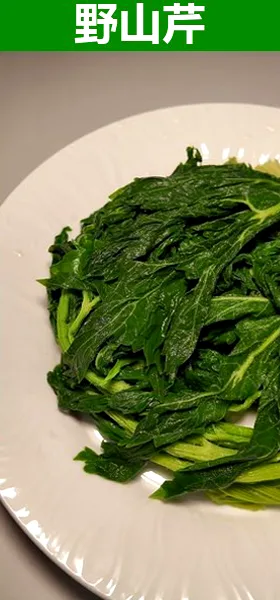 野山芹(山芹)嫩茎叶摆盘
